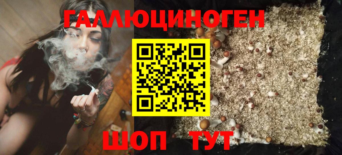 Дзержинск  Псилоцибиновые грибы ЛСД  Вход с VPN 