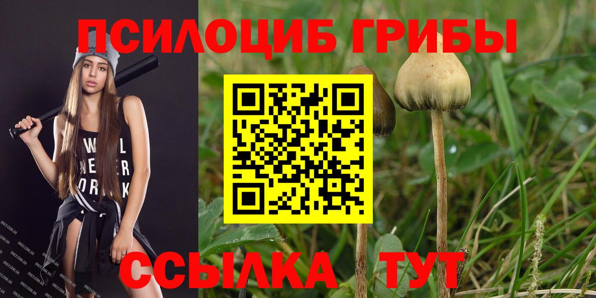 Псилоцибиновые грибы GOLDEN TEACHER Дзержинск